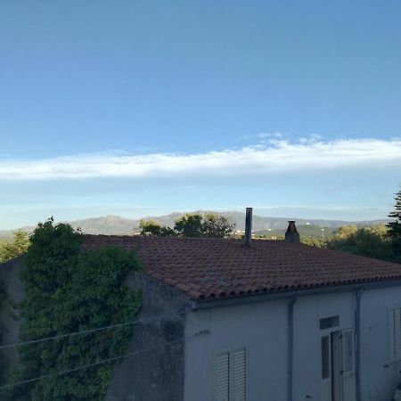 Monti Di Bo Appartement Aggius Buitenkant foto